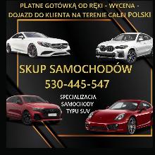 Auto Skup